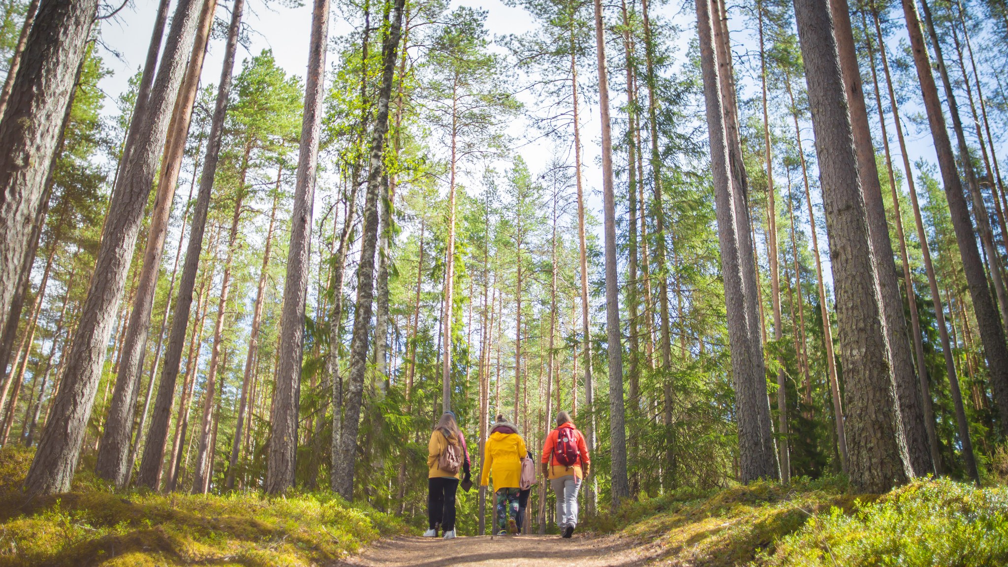 Neljä henkilöä kävelemässä Helvetinjärven kansallispuistossa.