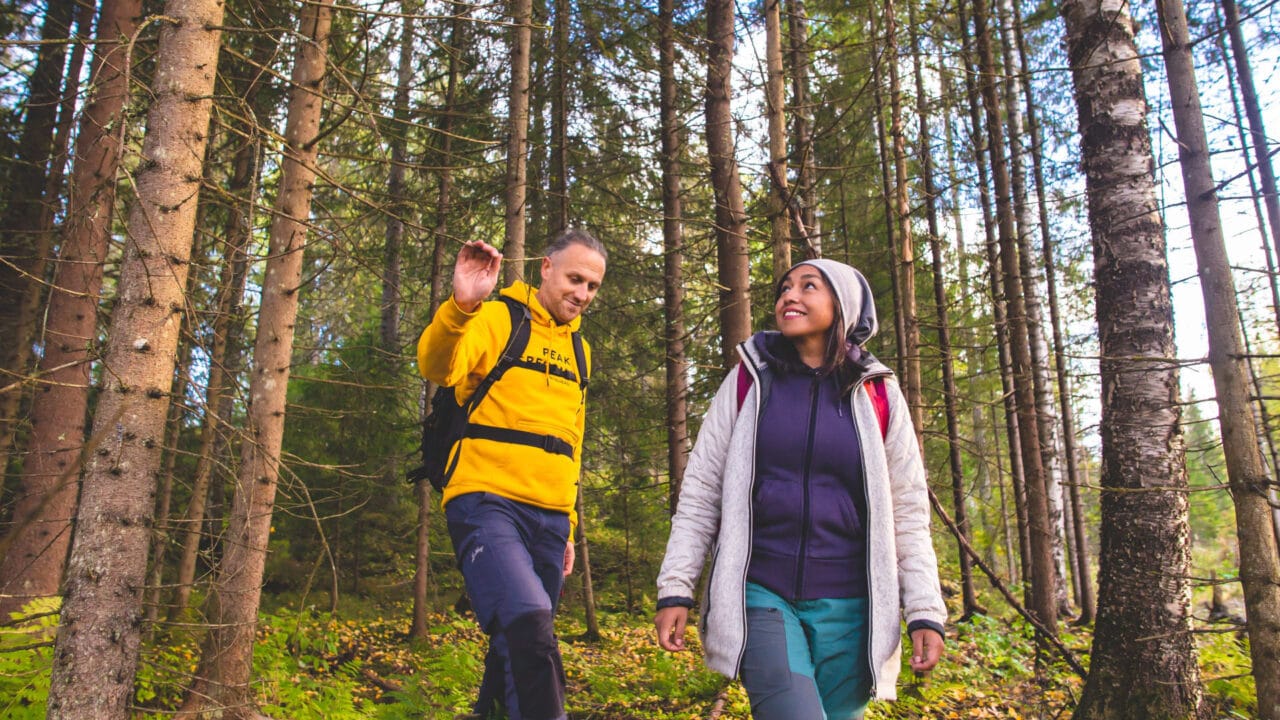 People hiking in the forest.