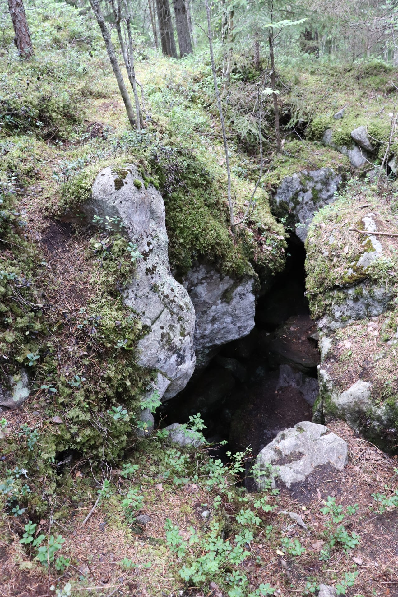 Kuva Konatun kellarin luolan suuaukosta
