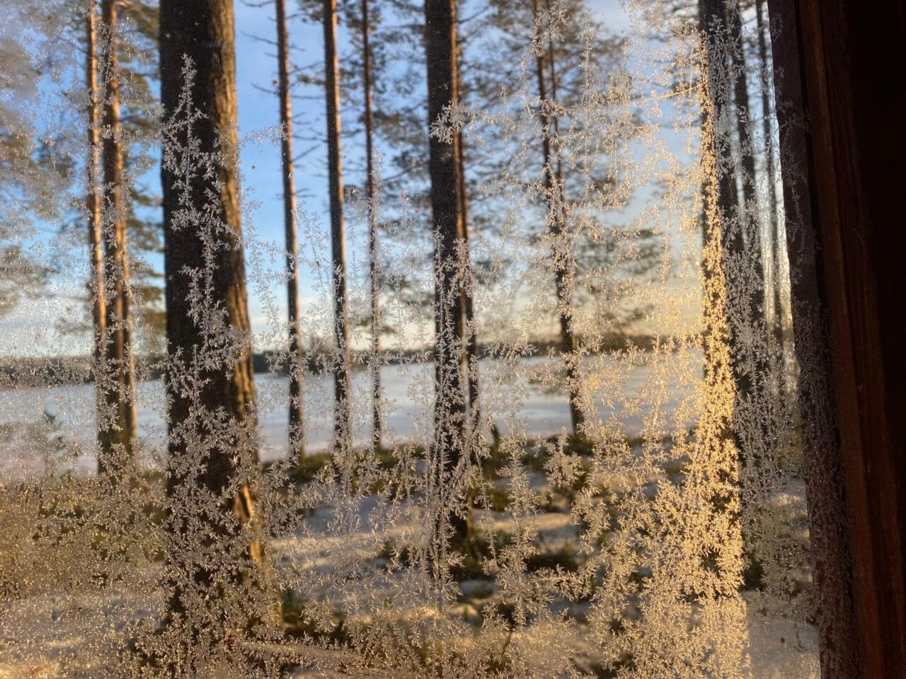 Kovesjärvi lake.