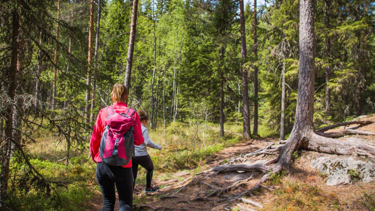 Hiking ladies.