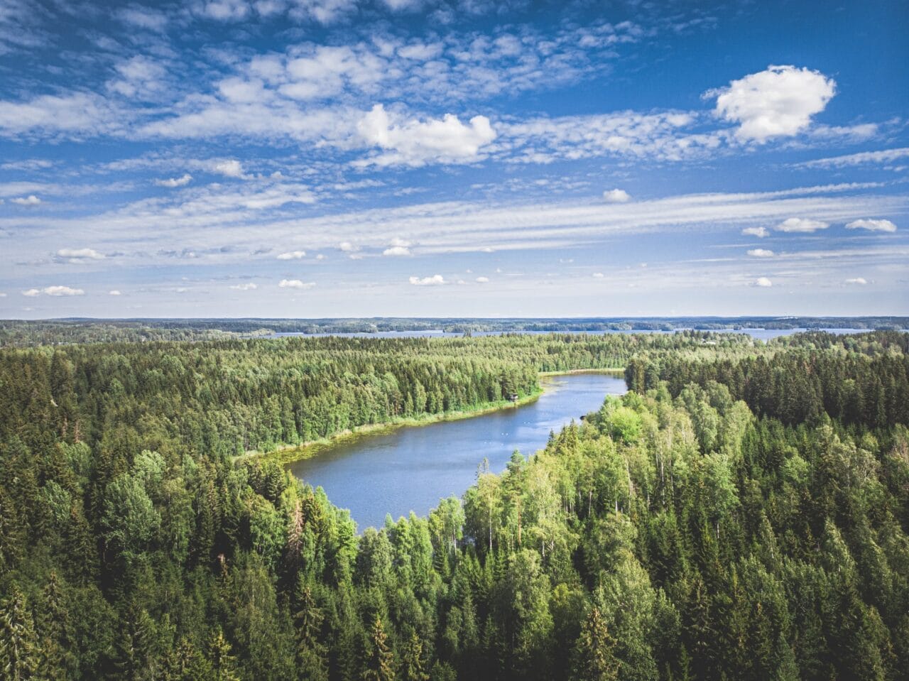 Drone photo from nature reserve.