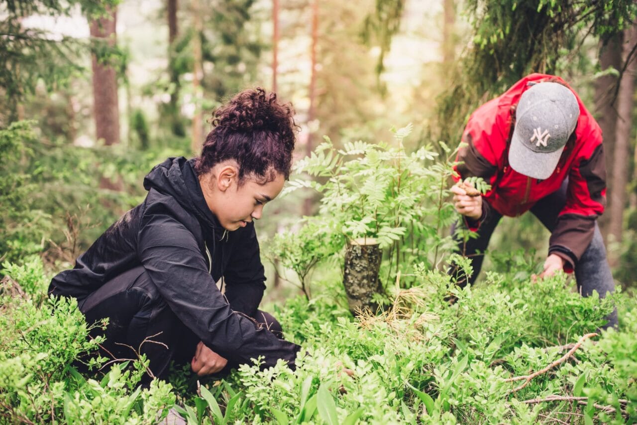 Picking berries at Kirkkoharju nature trail