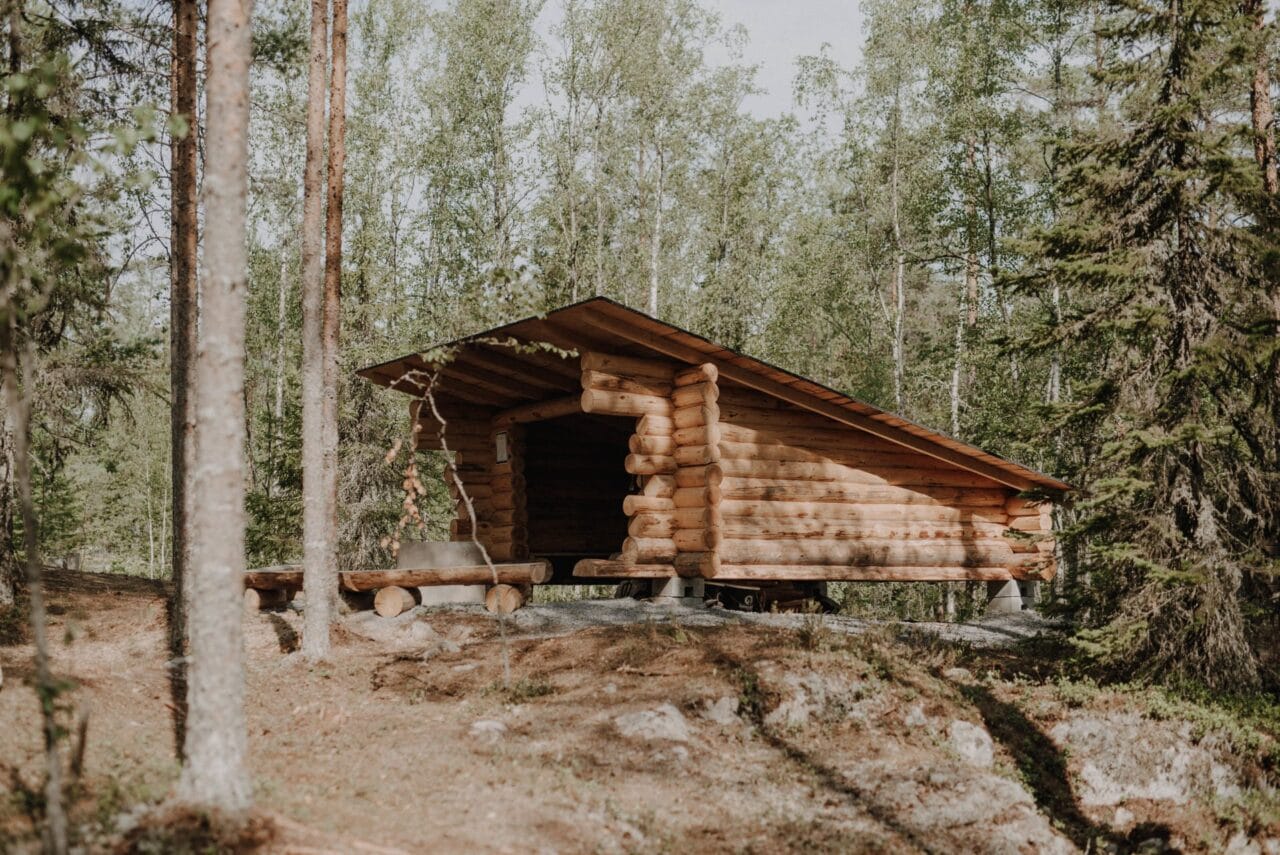 Hevonkuusen laavu