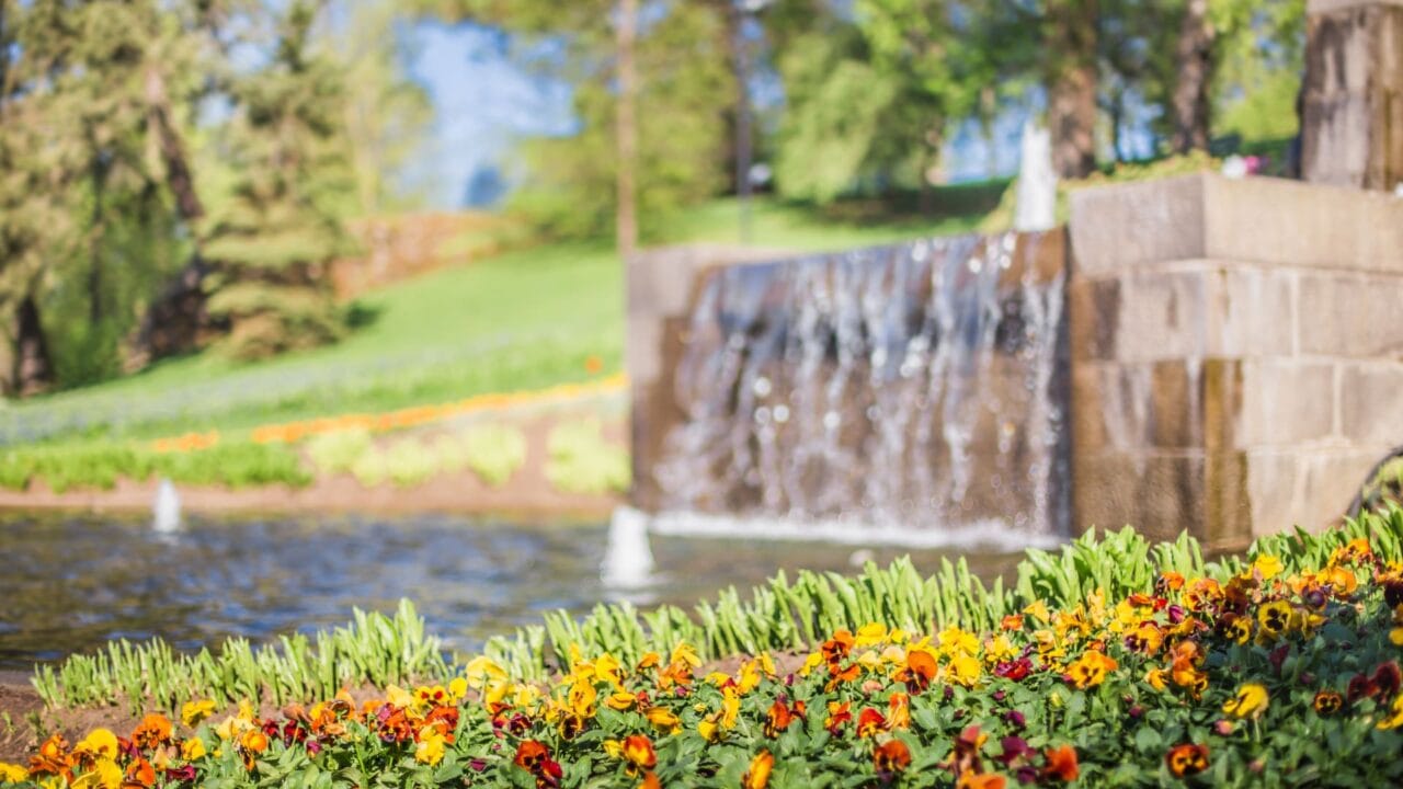 Waterfall and flowers.