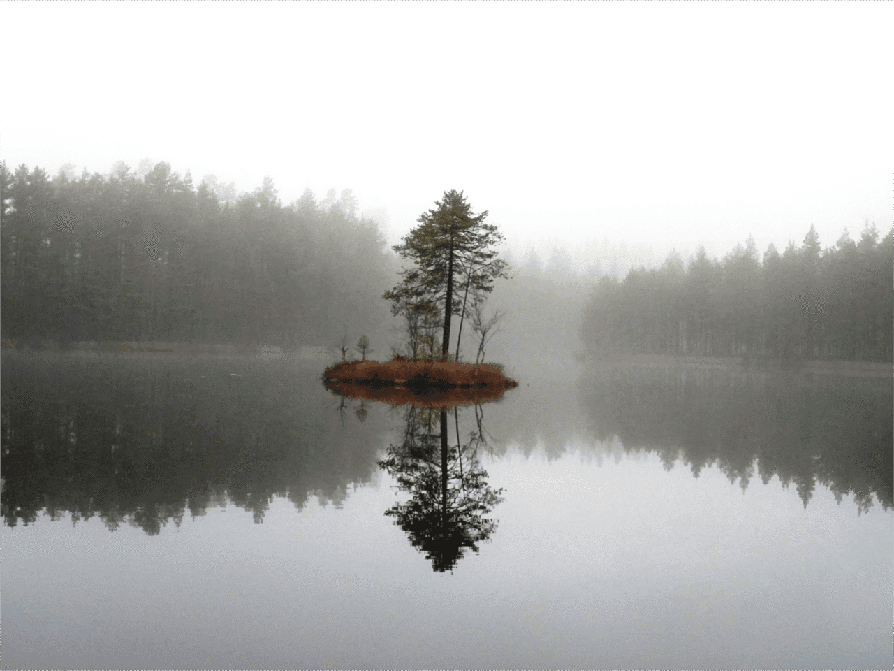 Island in Pihtilampi