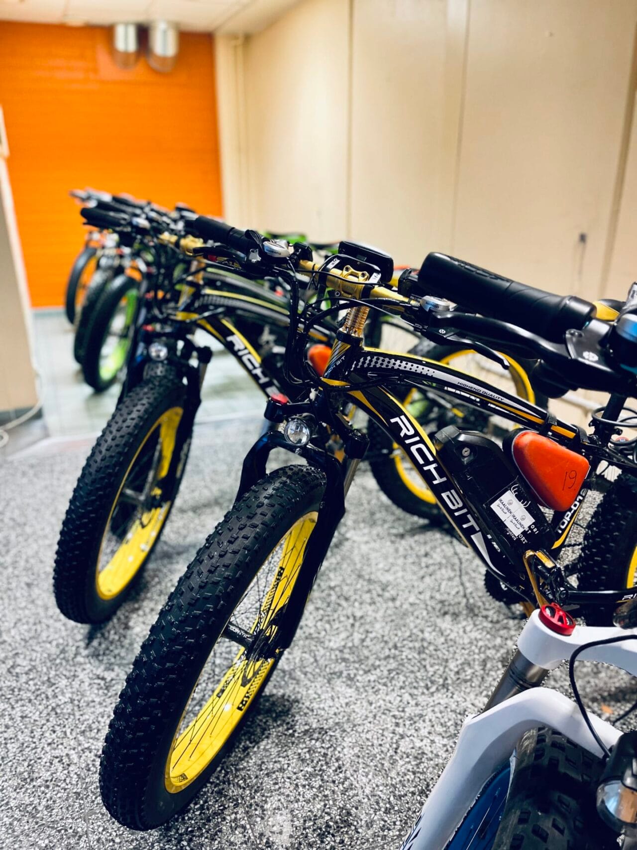 Electric fatbikes.