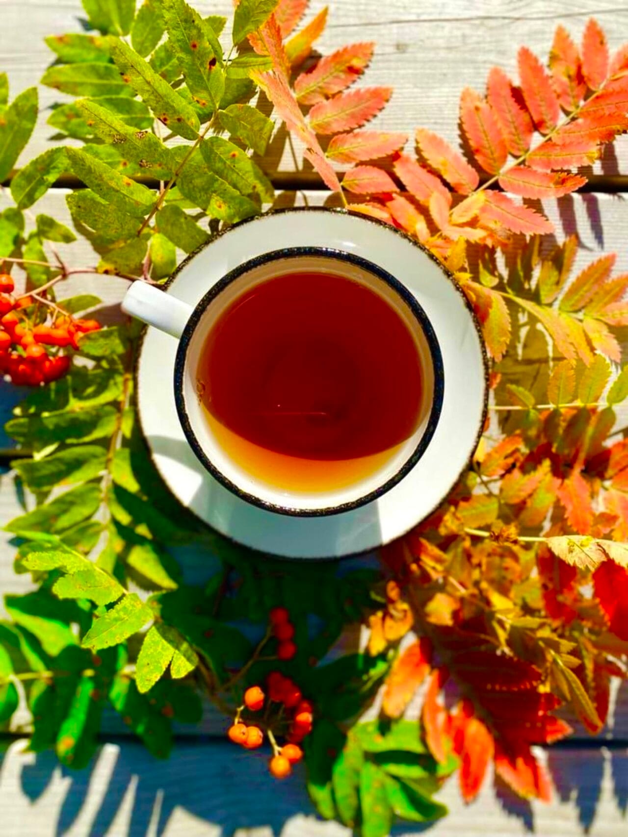 Tea and autumn colors