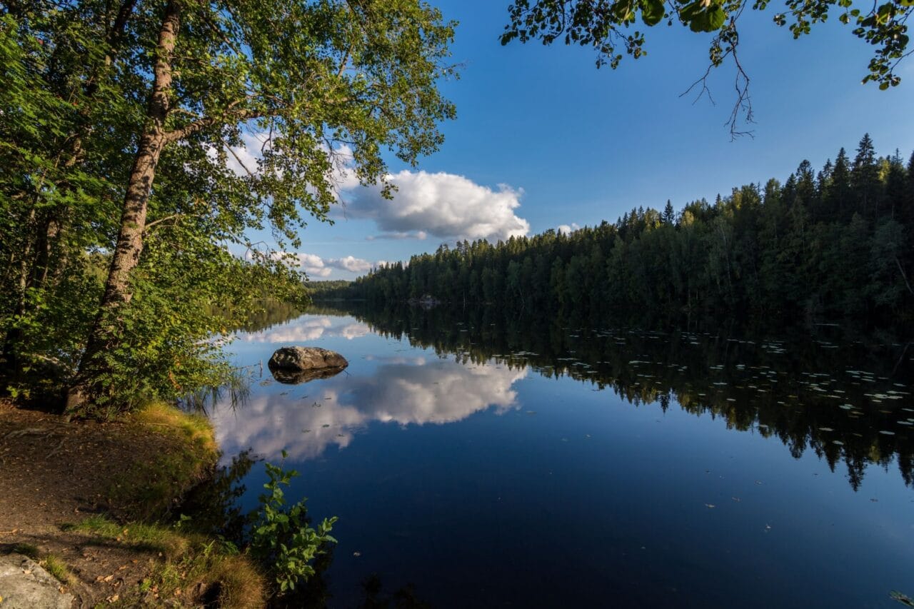 Suolijärvi lake in summer.