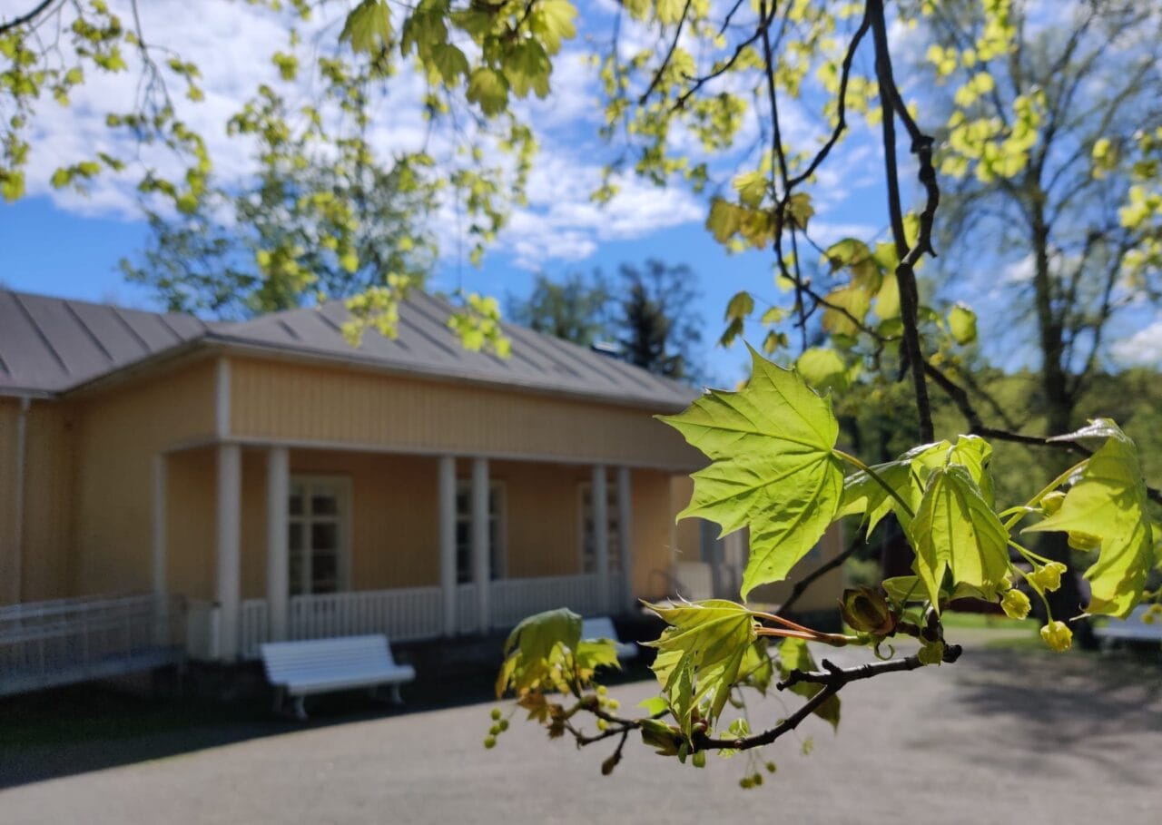 Vihreät vaahteranlehdet kehystävät kaukaa näkyvää keltaista kartanorakennusta.