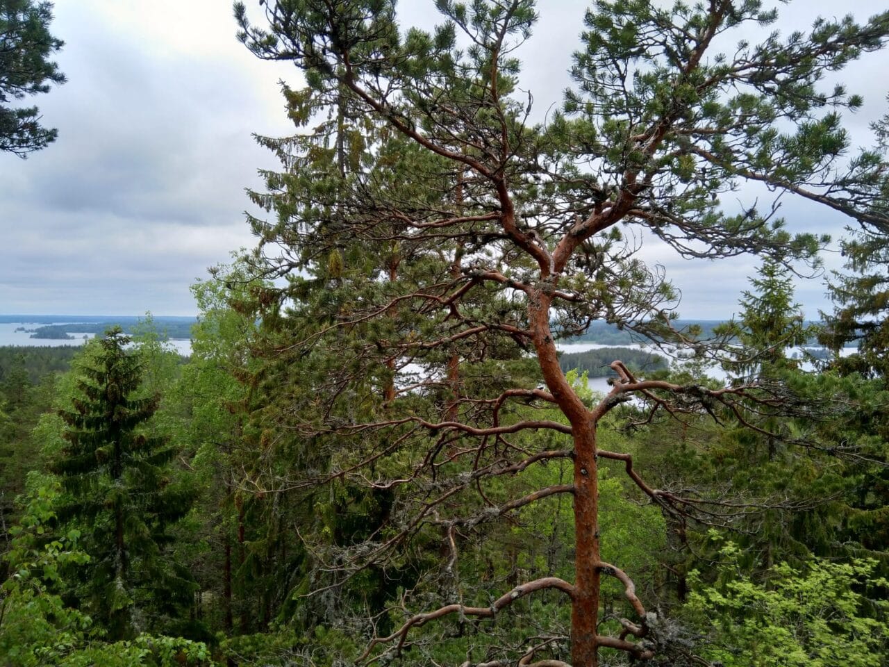 Maisema Pirunvuorelta