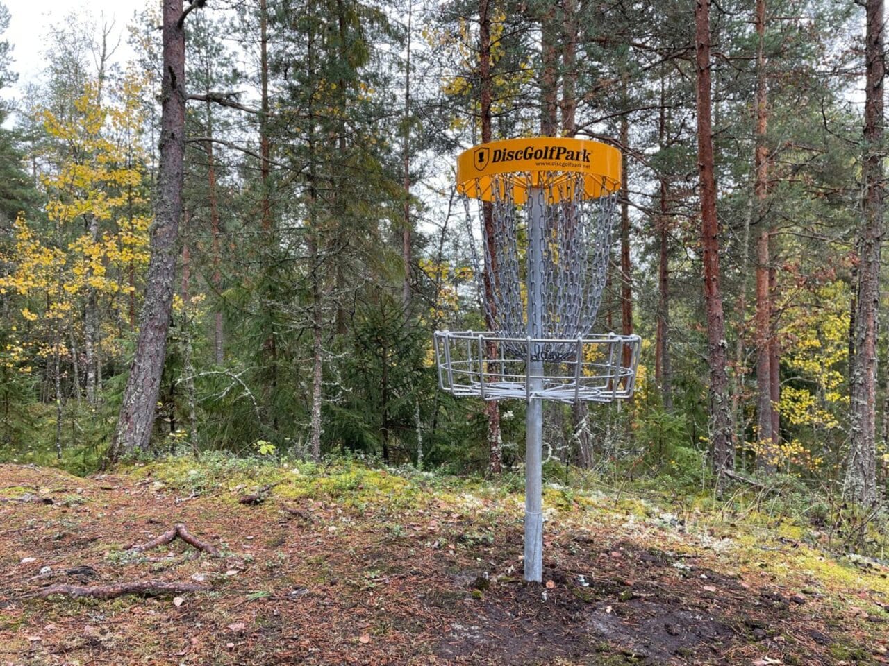Frisbeegolfradalla oleva kori, johon kiekkoja heitetään
