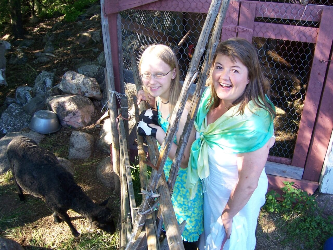 Sheep at the farm program