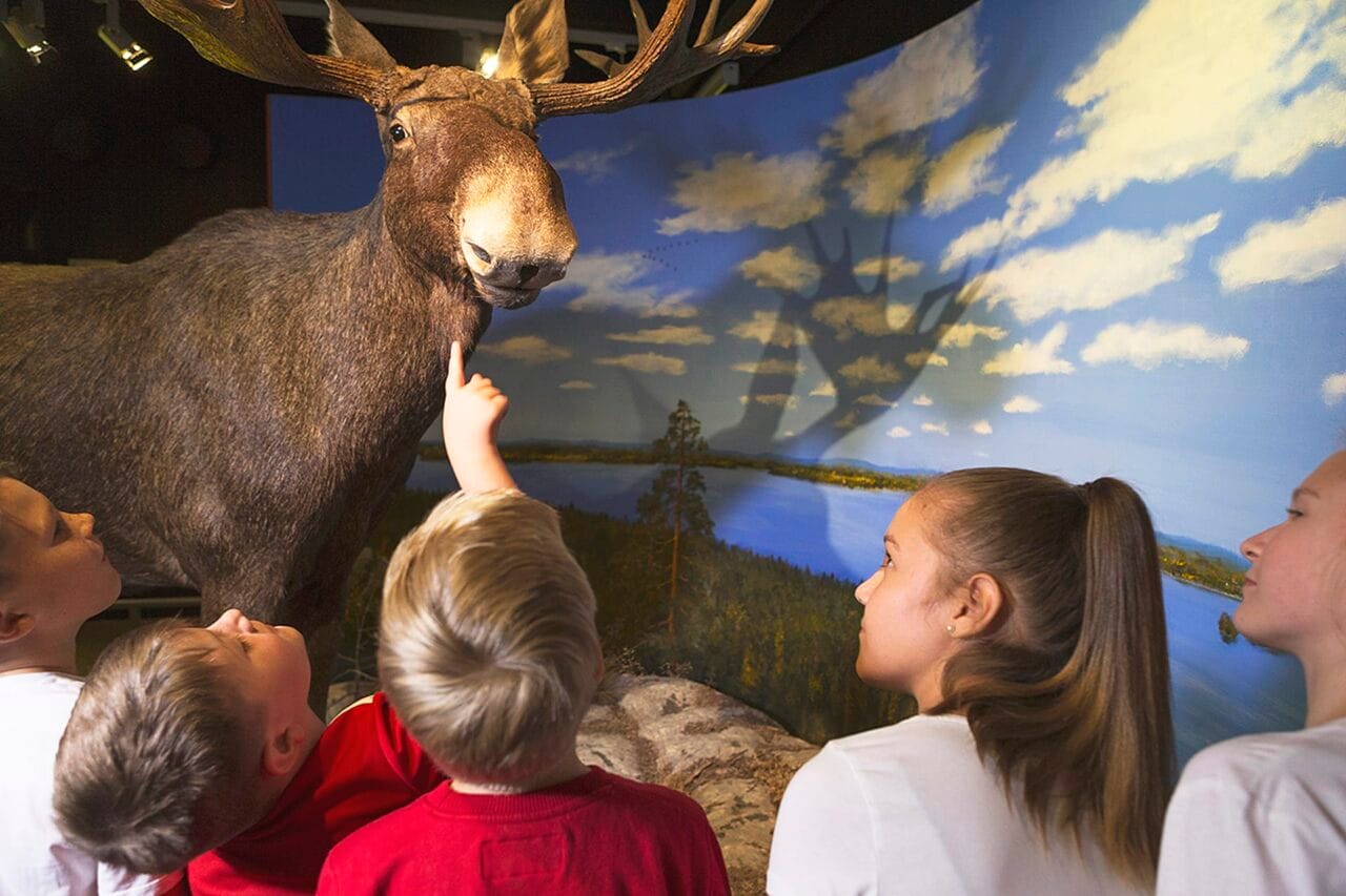 Lapset katselevat täytettyä hirveä Luonnontieteellisessä museossa.