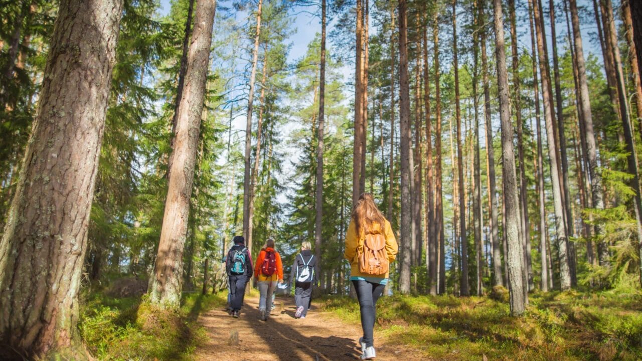 People walking in forest.