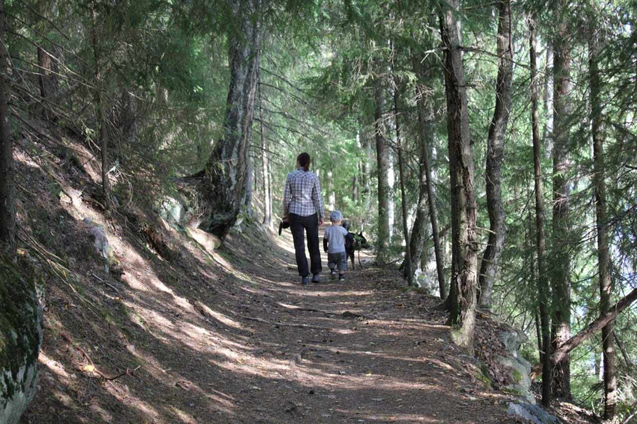 An adult, child and dog are walking on a forest path.