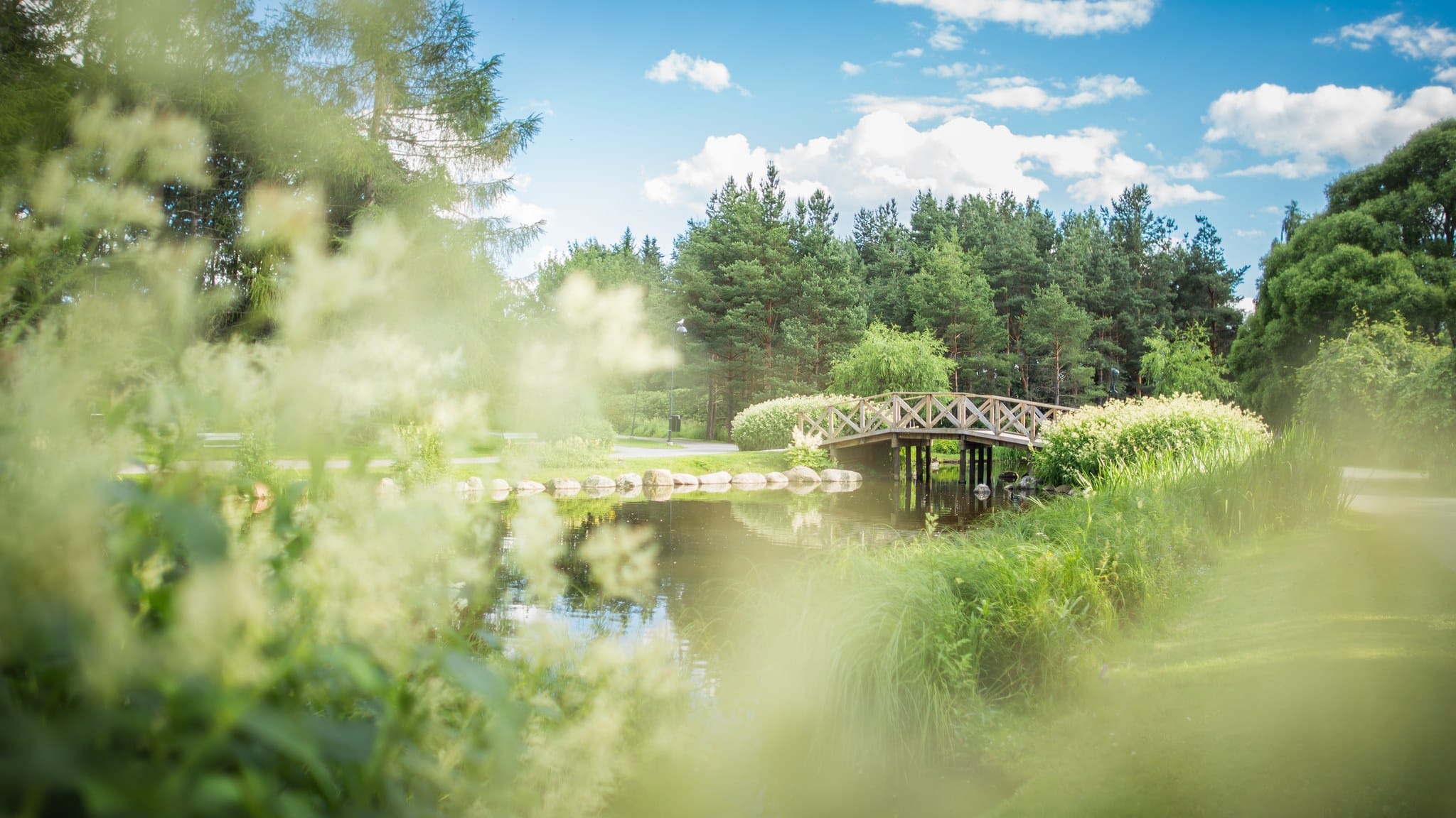 Hatanpään arboretumin puusilta vehreässä kesäympäristössä.