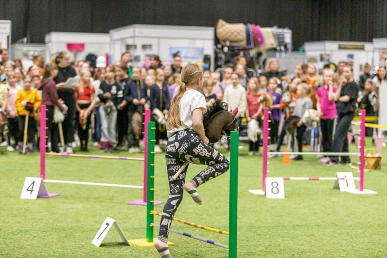 Horse Fair 2025, hobby horse area in use