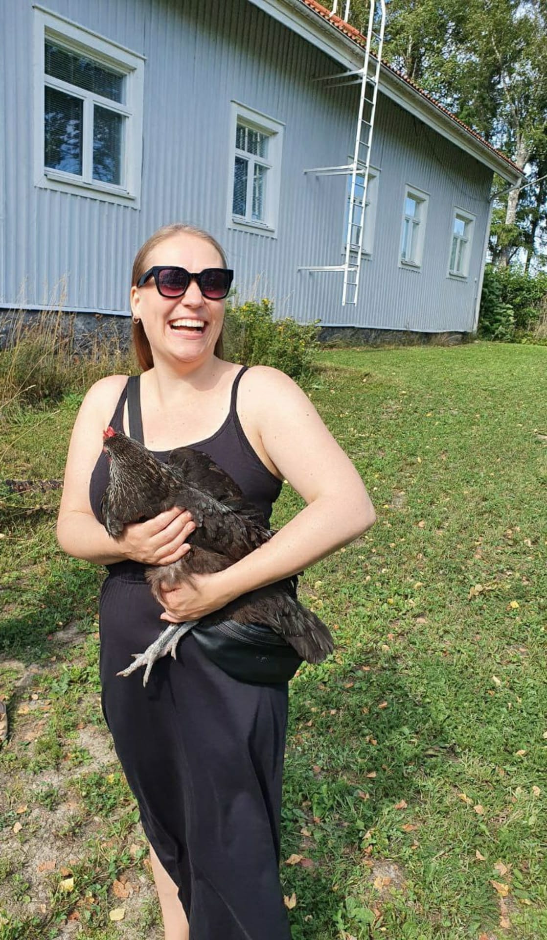 Chicken Mirja in the lap