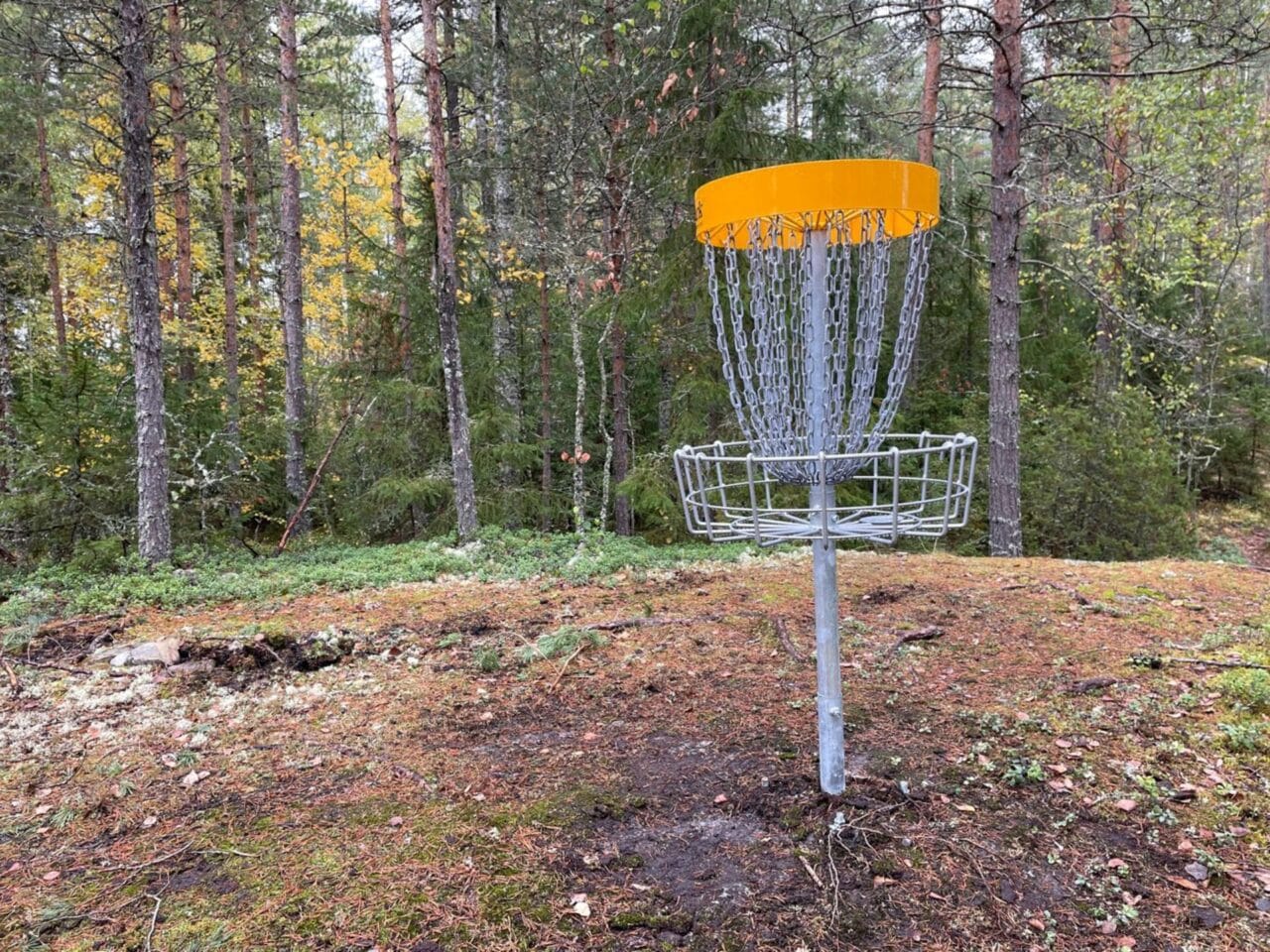 Frisbeegolfradalla oleva kori, johon kiekkoja heitetään