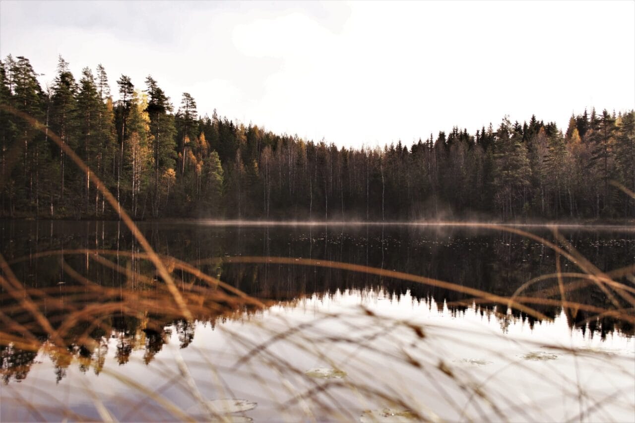 Lake in Laipanmaa area