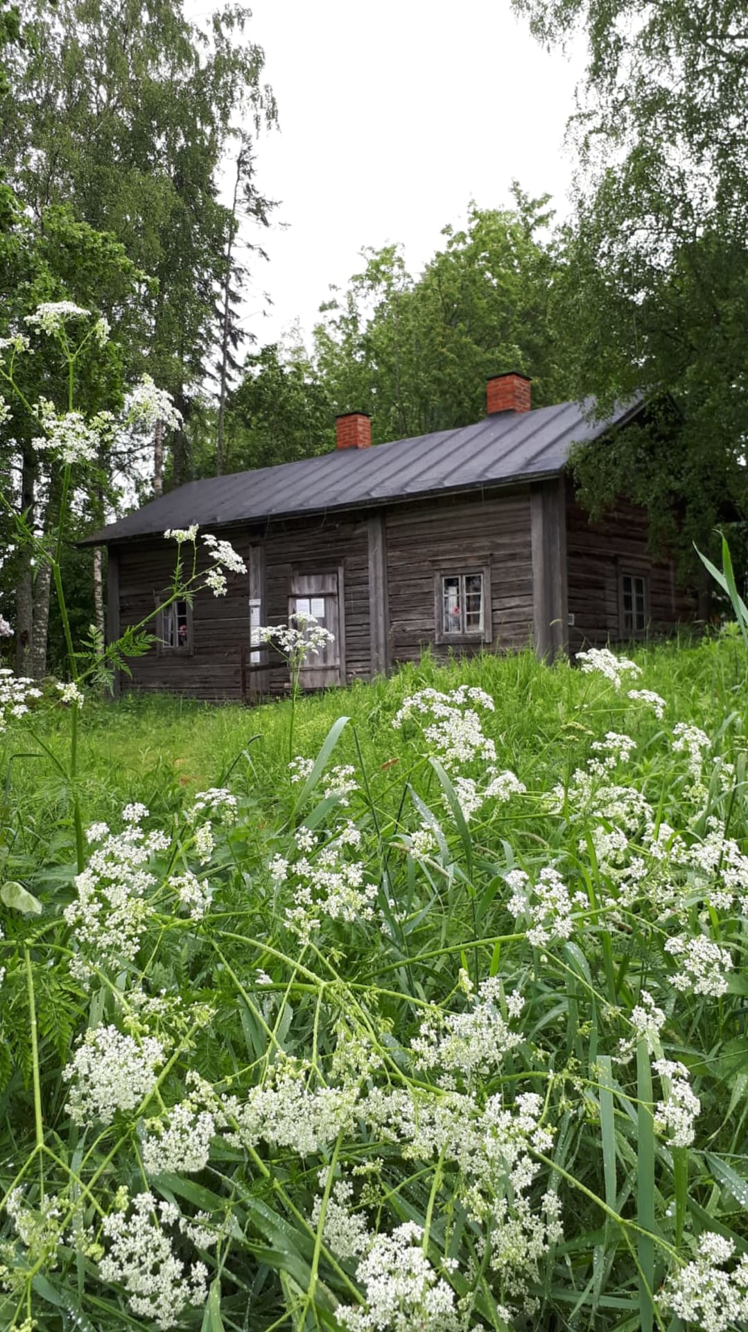 Museomiljöö