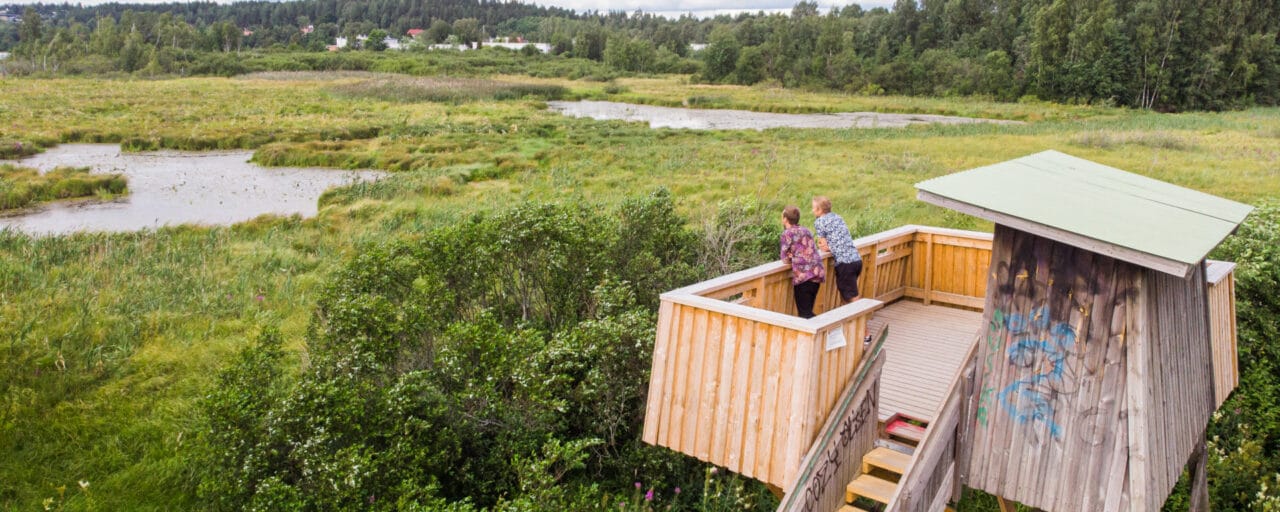 People observing birds from the tower.