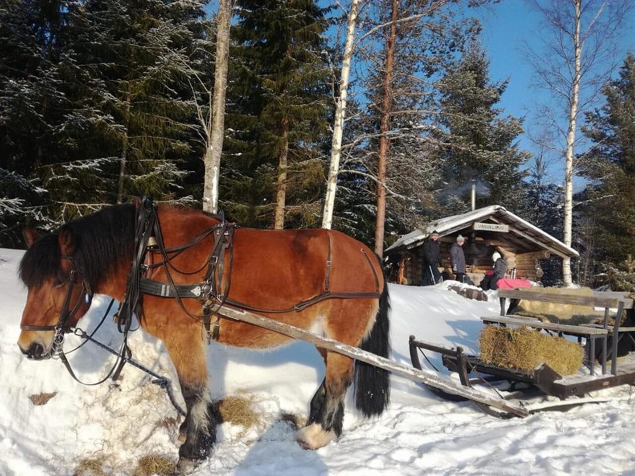 Sleigh ride
