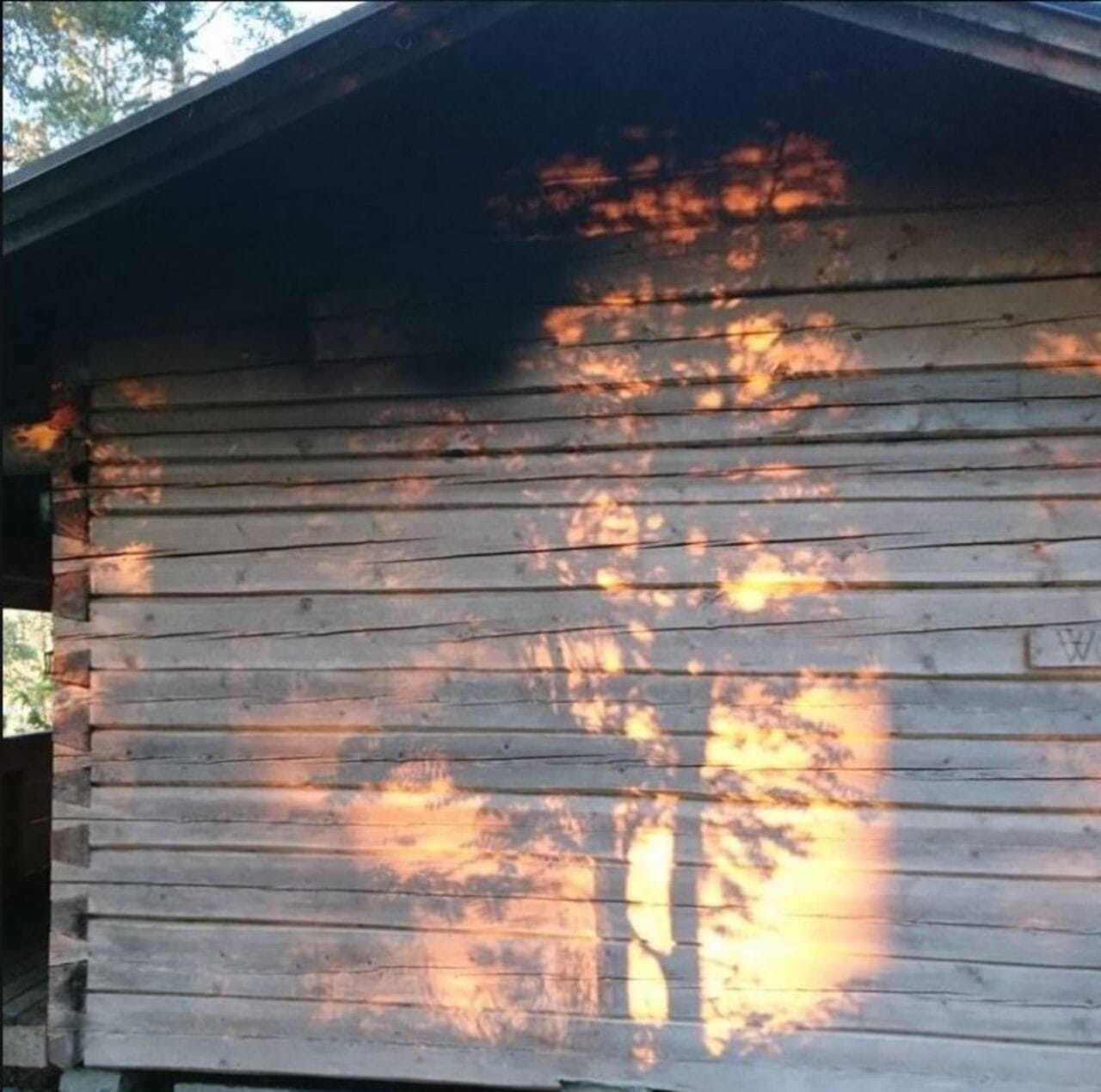 Smoke Sauna in evening light.