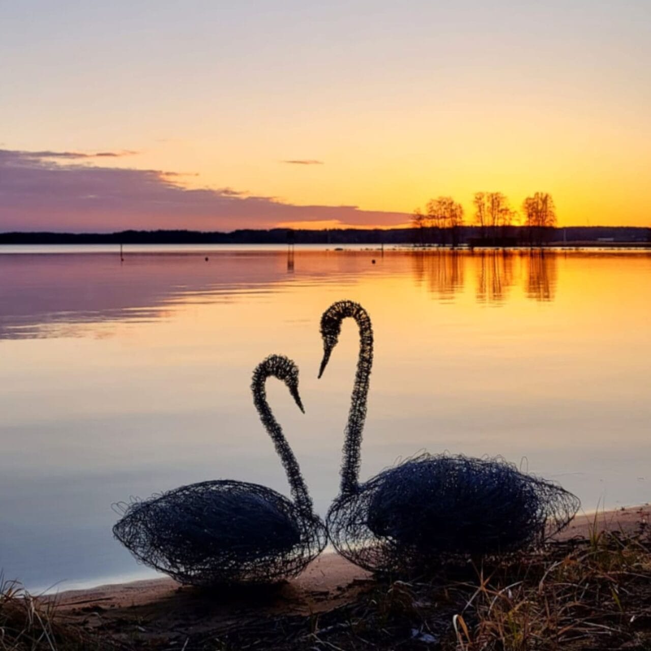 Rautalankaveistokset, joutsenet rannalla