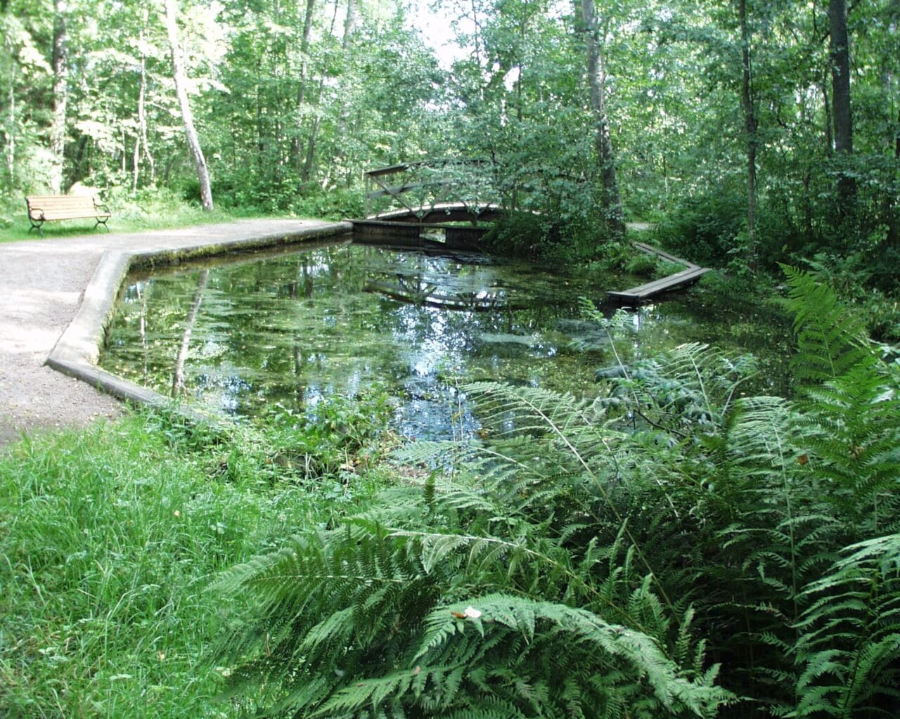 The Runeberg spring is a small idyllic relaxation area.