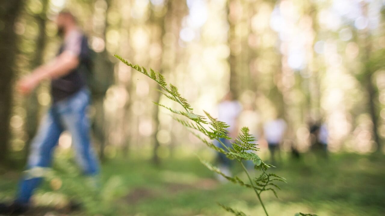 Walking in nature.