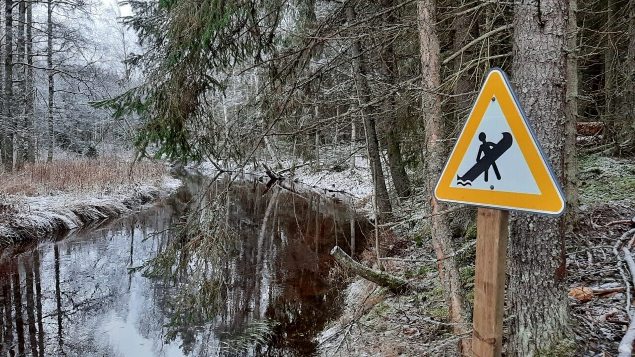 Piece of lake and forest