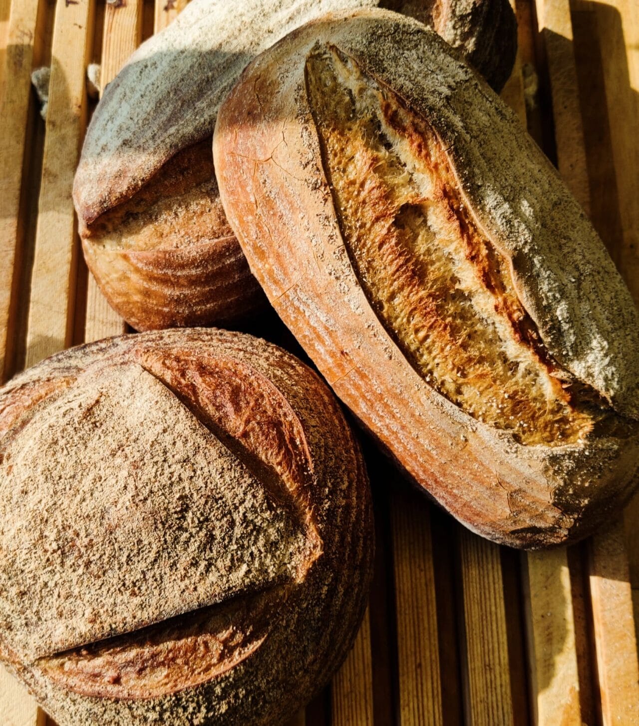 Juurileipä