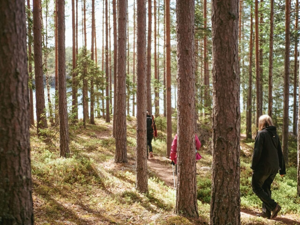 Harjumaisema/ View from the ridge