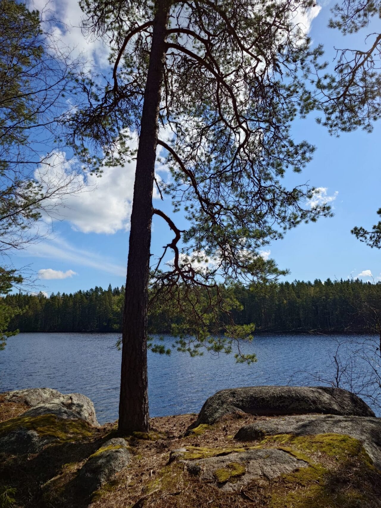 Kaidat vedet
