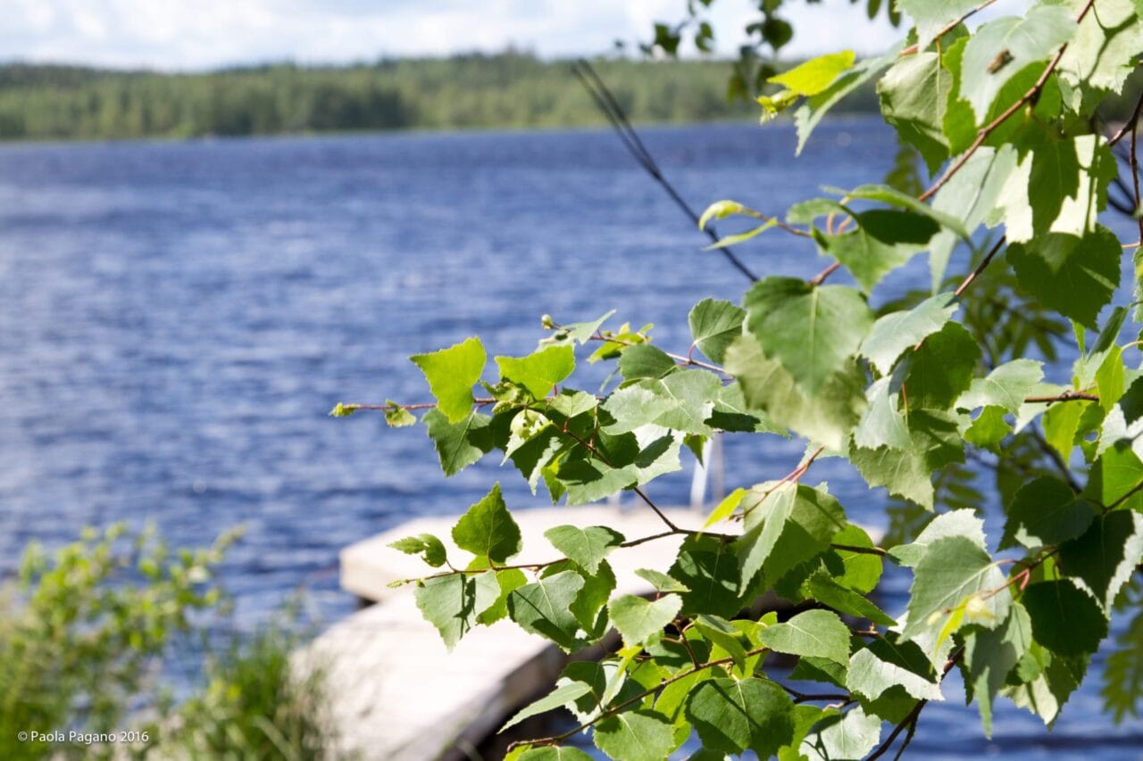 Finnish Nature