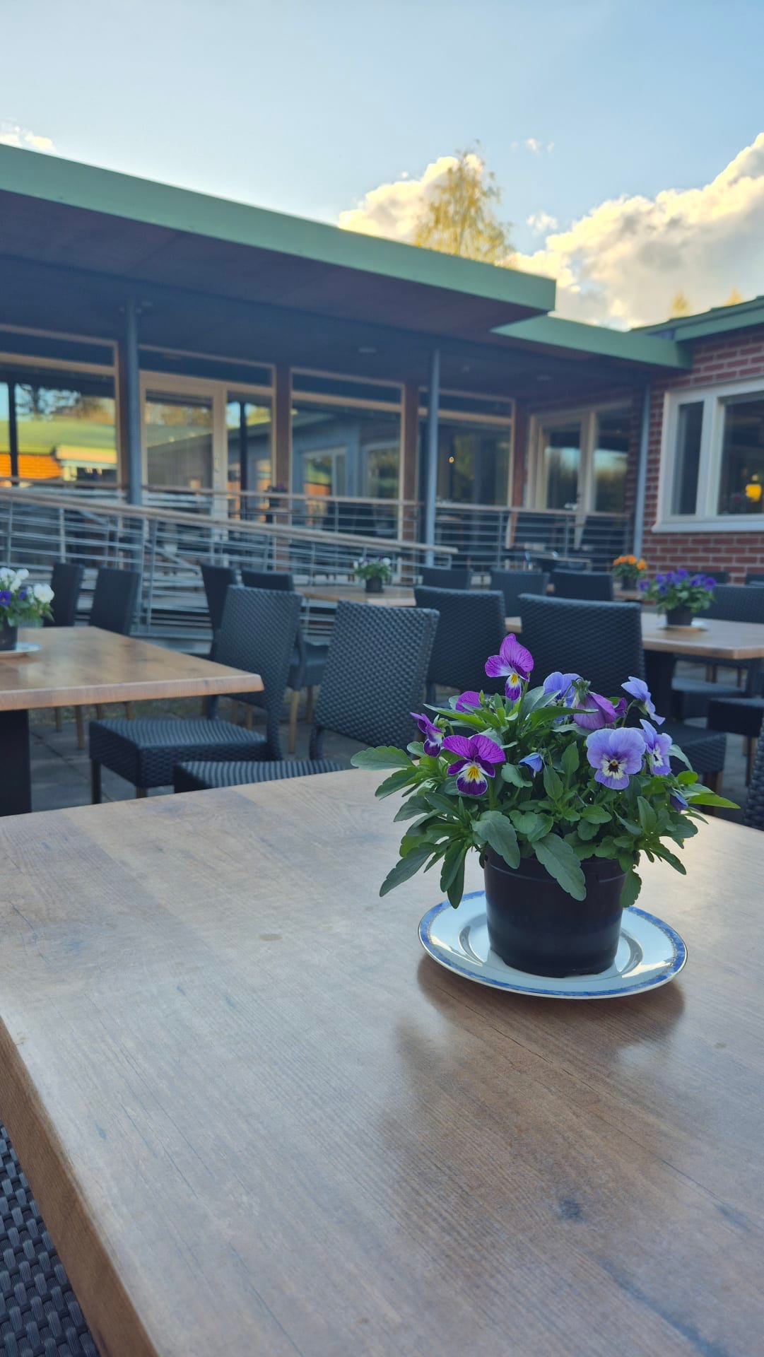 Lepola cafe outdoor terrace