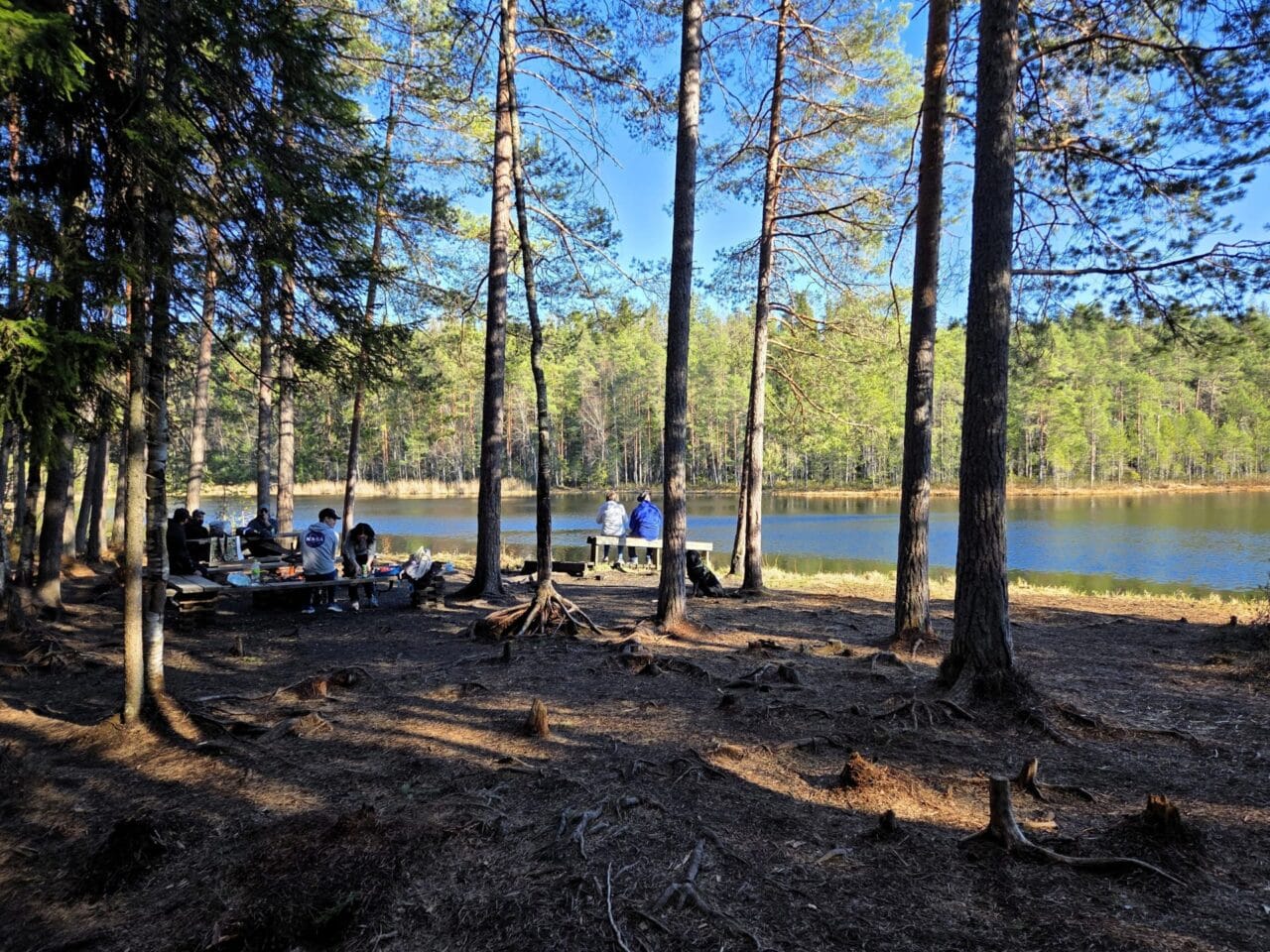 Campfire site in the forest with people sitting around it and a lake in the background