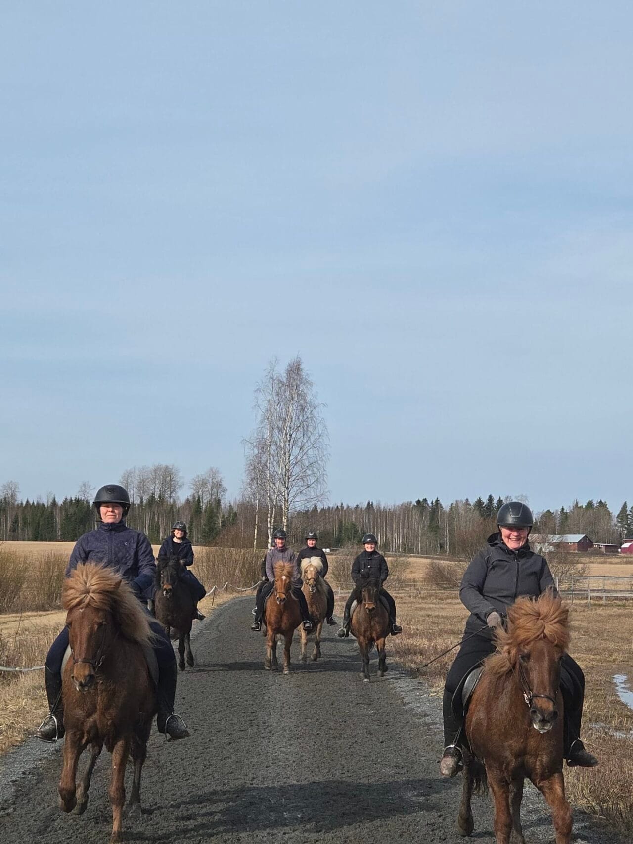 Iloisia hetkiä ratsailla islanninhevosten kanssa.