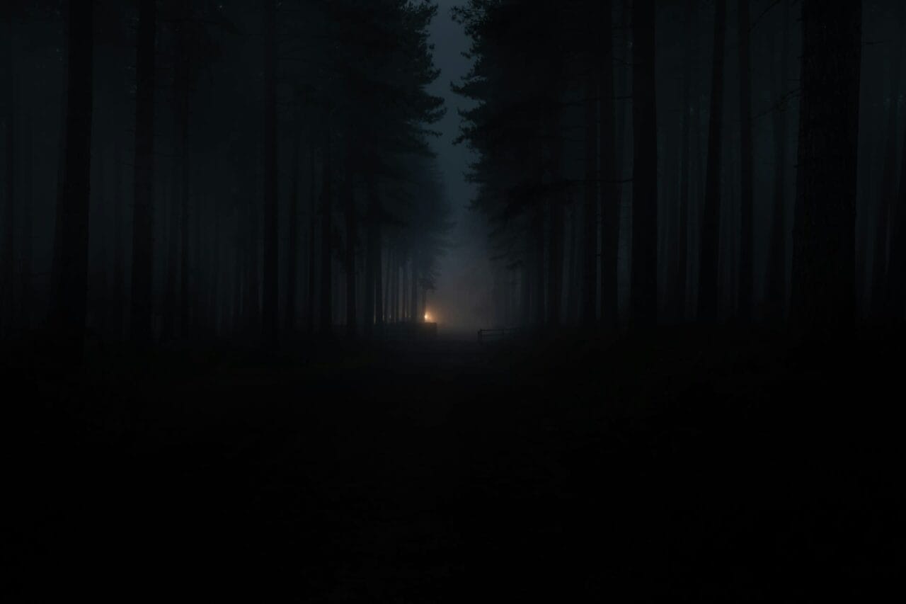 Dark forest
